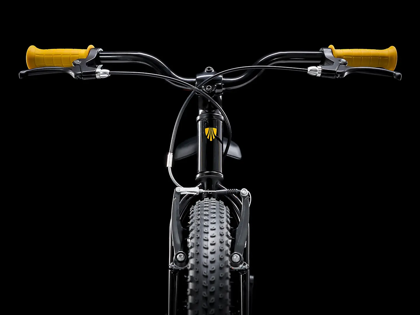 Trek Precaliber 20 boys (TrekBlack) front view